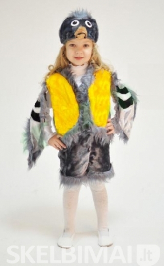Karnavalinių kostiumų nuoma vaikams ( saulė)