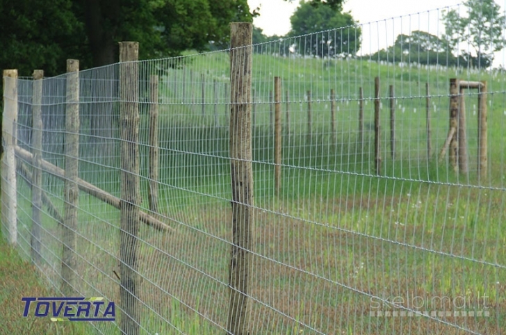 Tinklinė tvora ( tvoros miškui, fermai, ūkiui).