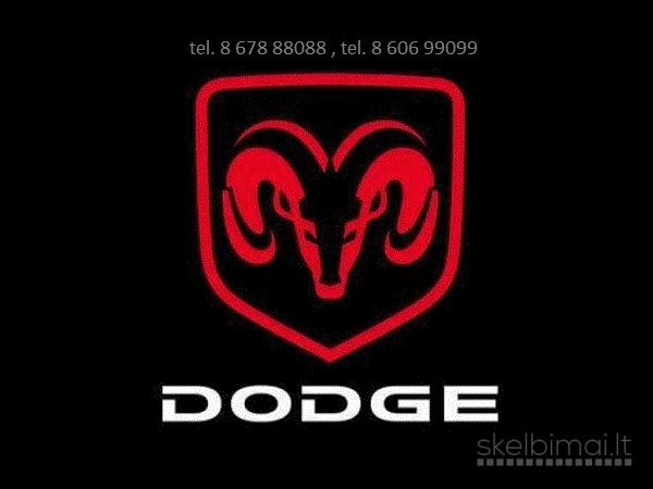 Dodge dalys