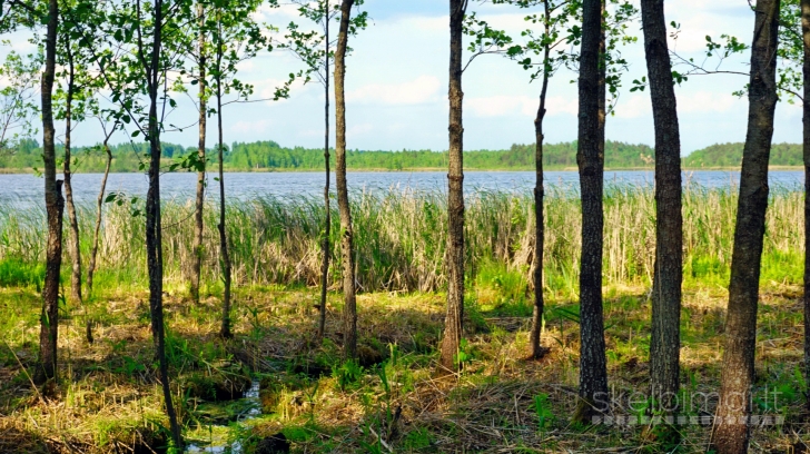 66 arų sklypas su Žaugėdų ežero pakrante