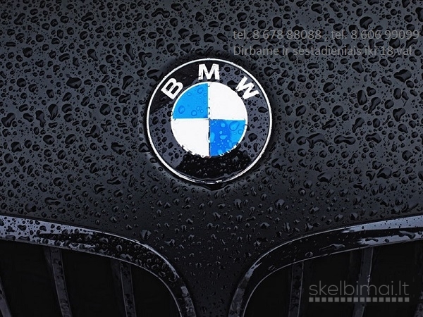 BMW F48 dalys