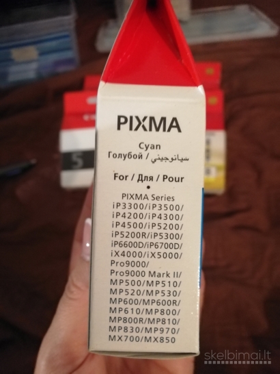 Canon pixma 2 printeriu rašalo kasetės