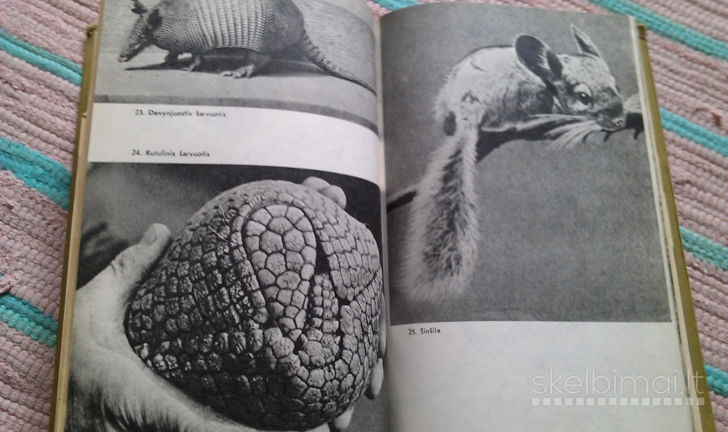 Knygą"pasaulio Žvėrys" 1973m.ivanauskas Tadas