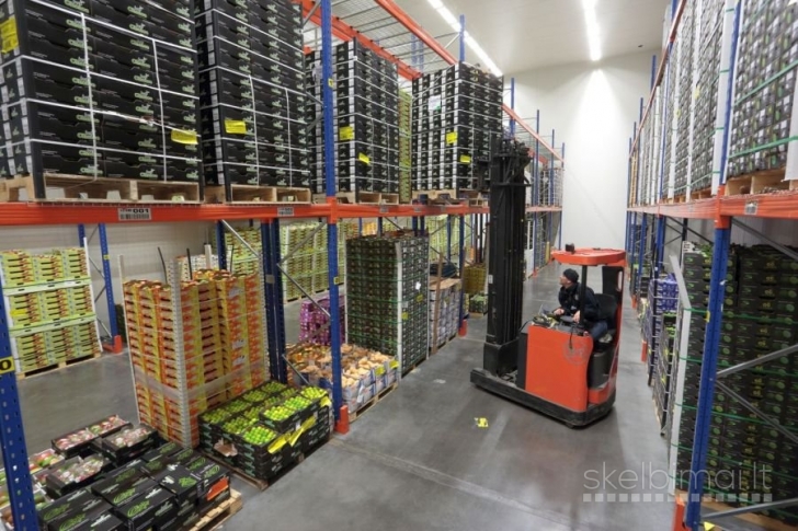 Darbas pakuotojams Olandijoje, vaisių sandėlye