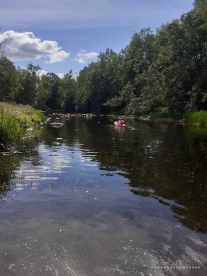 Baidarių, kubilų, stovyklavietės nuoma