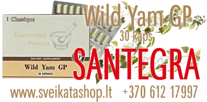 WILD YAM GP (30) Santegra / mob: 8 612 17997