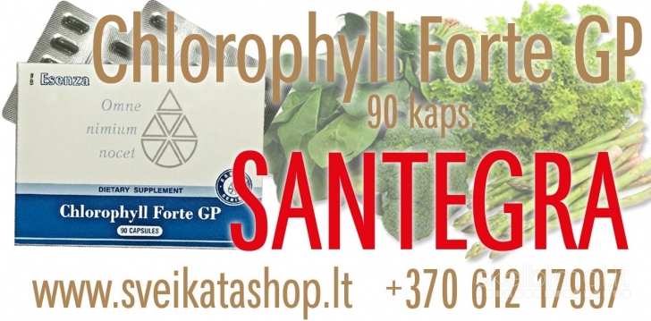 CHLOROPHYLL FORTE GP (90) Santegra / mob: 8 612 17997