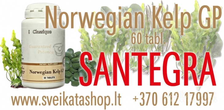Norwegian Kelp GP 60 tabl SANTEGRA / mob: 8 612 17997
