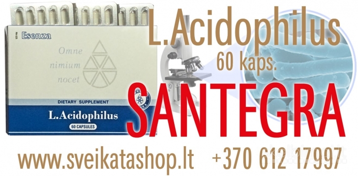 L.Acidophilus 60 kaps SANTEGRA / mob: 8 612 17997