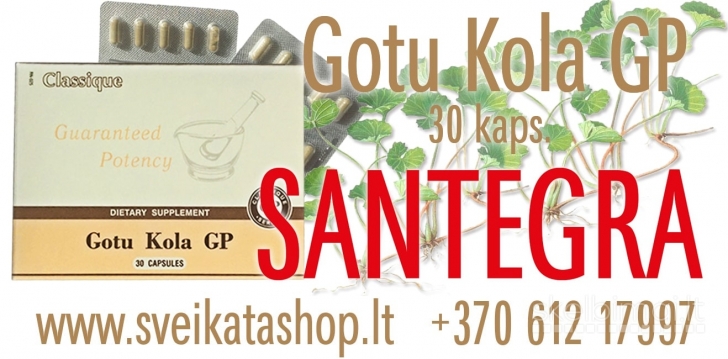 Gotu Kola GP 30 kaps SANTEGRA / mob: 8 612 17997