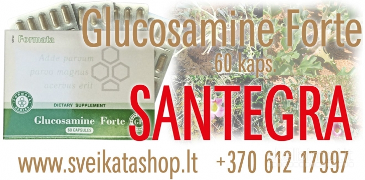 Glucosamine Forte GP 60 kaps SANTEGRA / mob: 8 612 17997