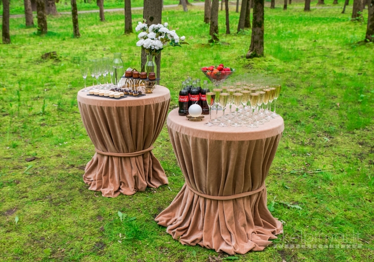 šampano staliukas / šampano sienelė po ceremonijos 