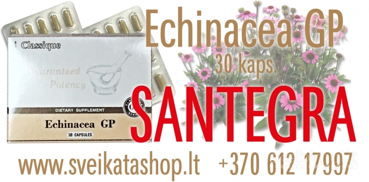 Echinacea GP 30 kaps - maisto papildas SANTEGRA / mob: 8 612 17997