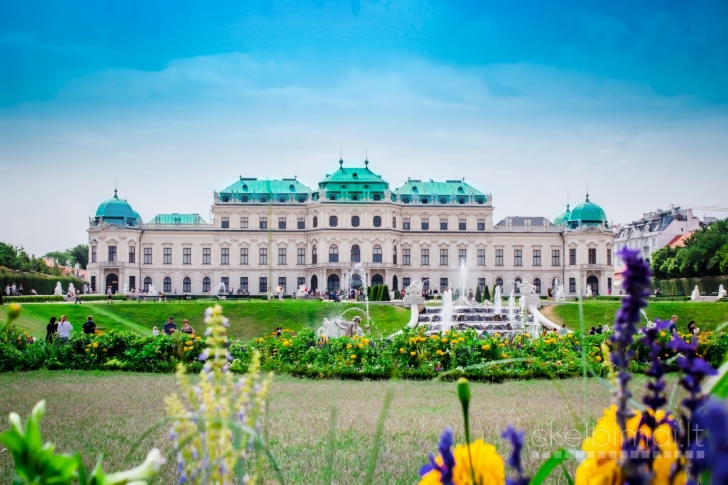 Pigus skrydis Vilnius (VNO) - Viena (VIE), Austrija ir viešbučiai Vienoje