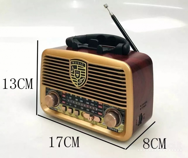 RX-BT1110 nešiojamas namų radijas 