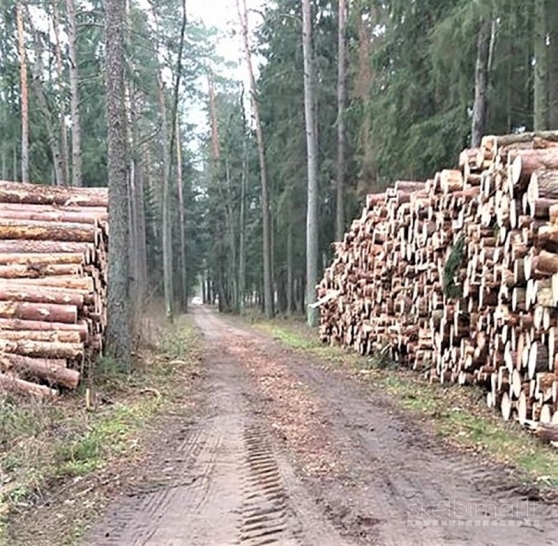 Miškų tvarkymas, krūmynų pjovimas, šakų smulkinimas