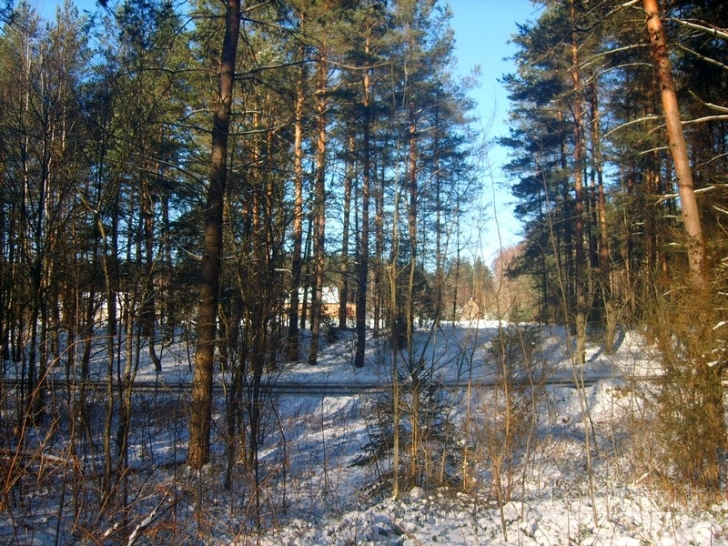 Sklypas Vilniaus raj., Tapelių k., su galimybe statyti ūkininko sodyba