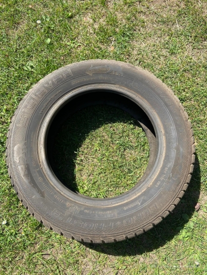 Gislaved Euro Frost 3 195/65/R15