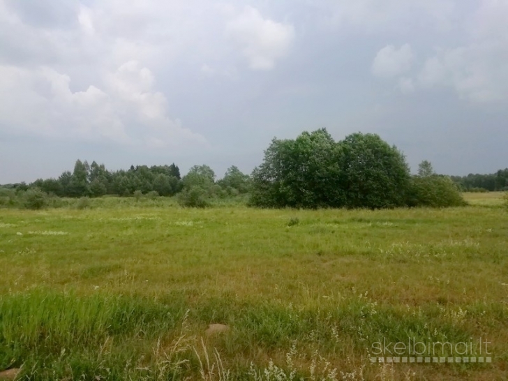 Sklypas Kaidonėlių k., Sužonių sen., Vilniaus raj.