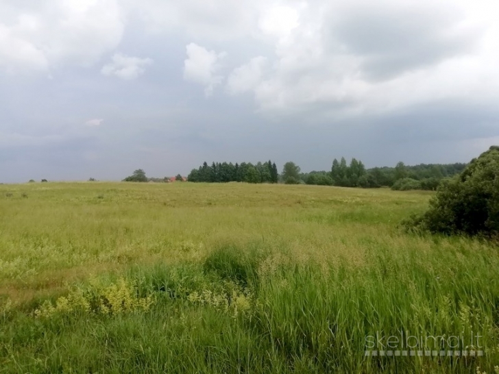 Sklypas Kaidonėlių k., Sužonių sen., Vilniaus raj.