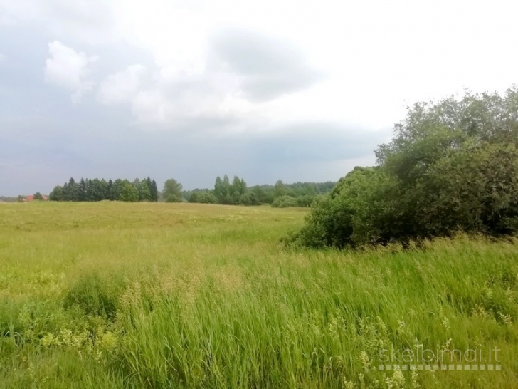 Sklypas Kaidonėlių k., Sužonių sen., Vilniaus raj.