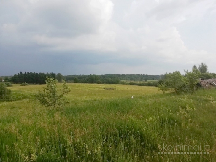 Sklypas Kaidonėlių k., Sužonių sen., Vilniaus raj.