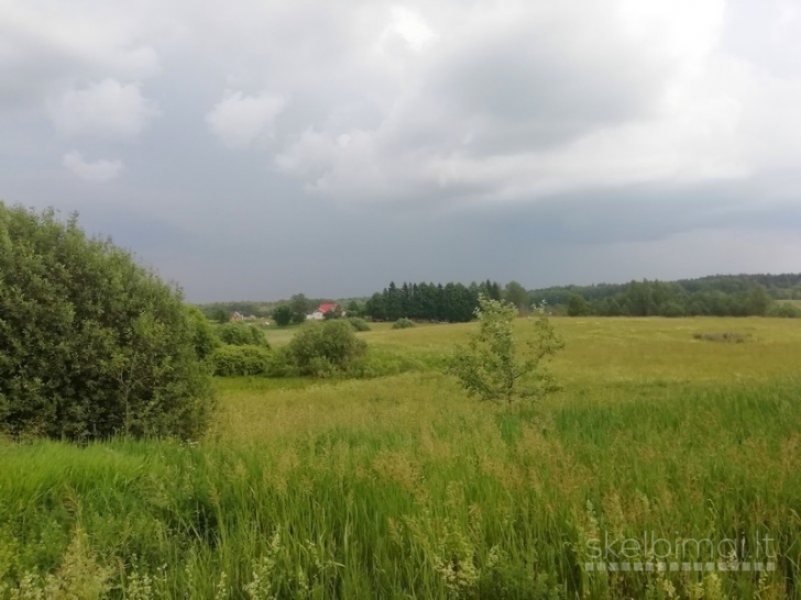 Sklypas Kaidonėlių k., Sužonių sen., Vilniaus raj.