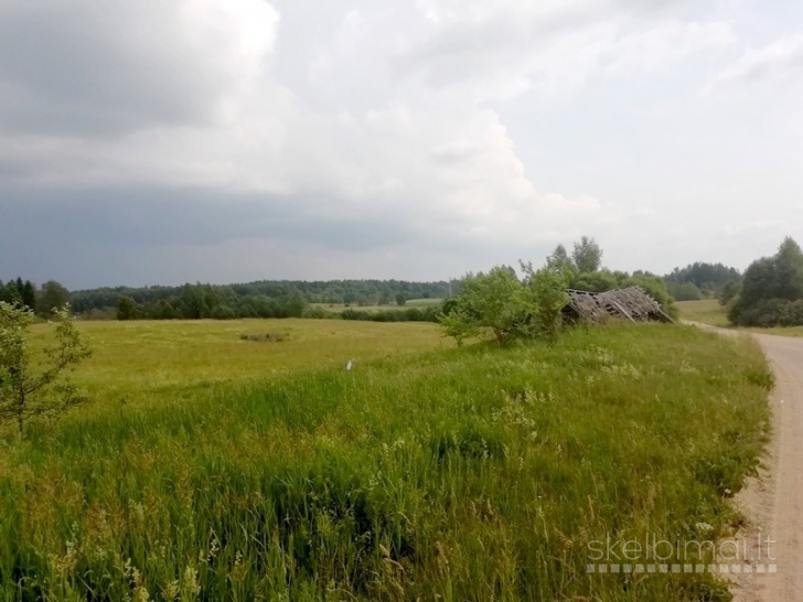 Sklypas Kaidonėlių k., Sužonių sen., Vilniaus raj.