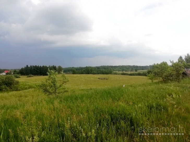 Sklypas Kaidonėlių k., Sužonių sen., Vilniaus raj.