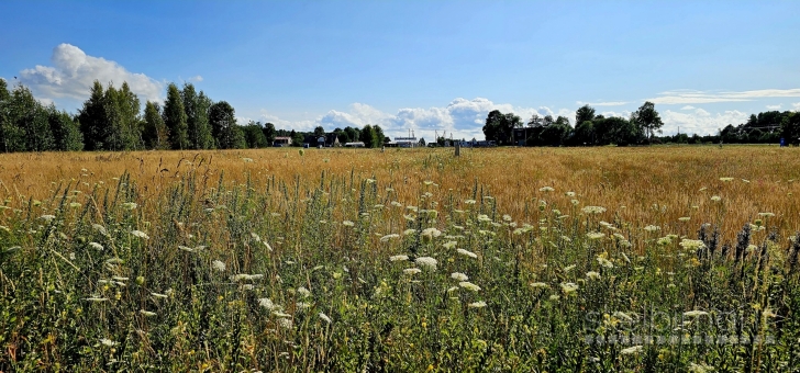 Parduodu sklypa.