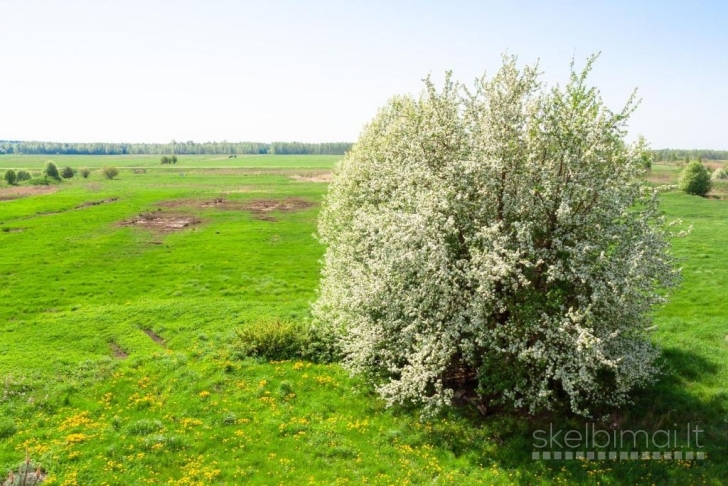 2 kambarių buto nuoma Šventojoje