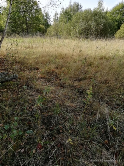 Namų valdos sklypas 0.6499 ha. Vilniaus raj., Riešės sen., Stadališkių k.