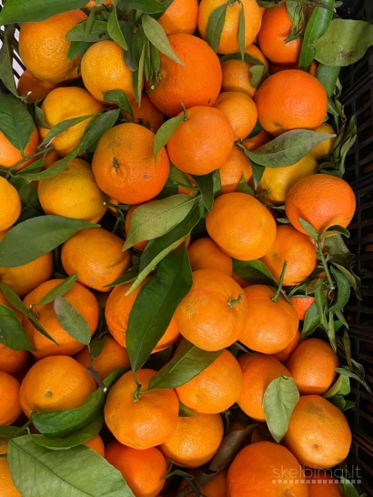  Ispaniški mandarinai ir apelsinai dėžėmis visoje Lietuvoje 