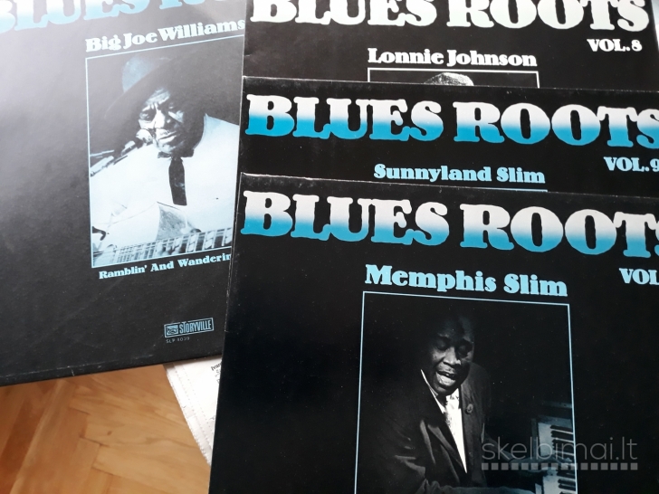 Blues roots 10 LP 