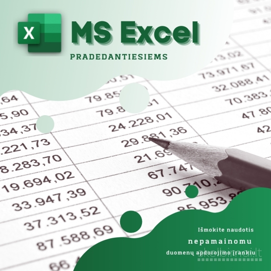 MS Excel pradedantiesiems: darbo su skaičiuokle pradmenys