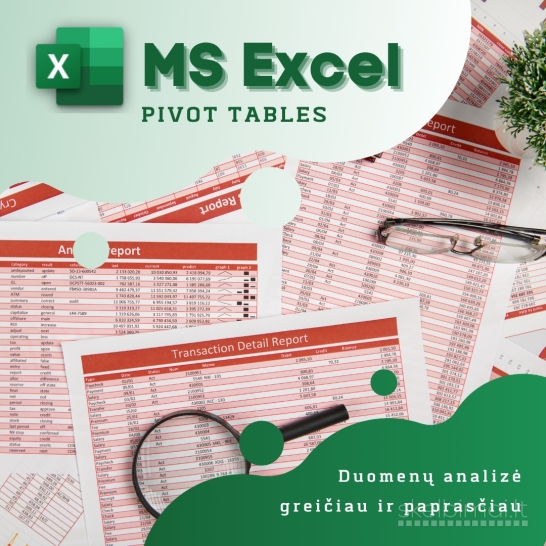 MS Excel Pivot Tables efektyviai duomenų analizei