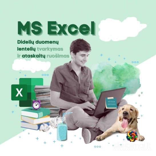 MS Excel: didelių duomenų lentelių tvarkymas ir ataskaitų ruošimas