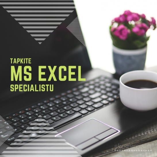 MS Excel: specialisto lygmens kursai