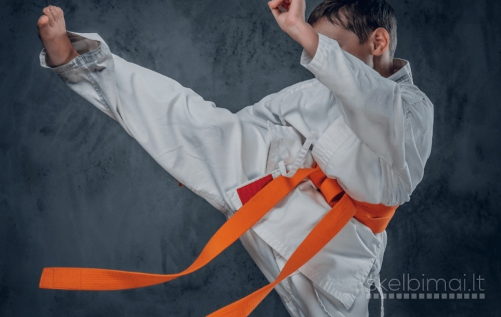 Tensho.lt - Kyokushin Karate Treniruotės Vaikams ir Suaugusiem
