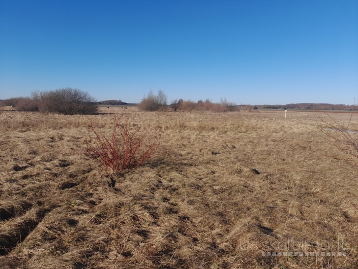 Parduodam 30,11 arų sklypą Šlapšilės km, Žiburių g. 25  Namų valda