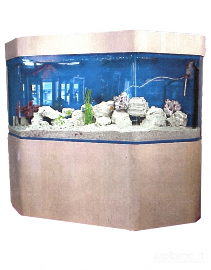 Akvariumas akrilinis aptakus skaidrus be mėlyno fono