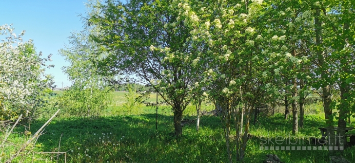 Žemės ūkio paskirties sklypas Uliunų k.,Panevėžio r.sav.