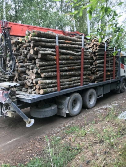 10 ERDMETRIŲ MALKAS-- SKALDYTOS-- KALDĖS-- RĄSTAI 