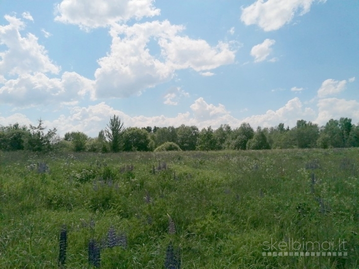 Sklypas tarp dviejų ežerų, Vilniaus raj., Sužonių sen.