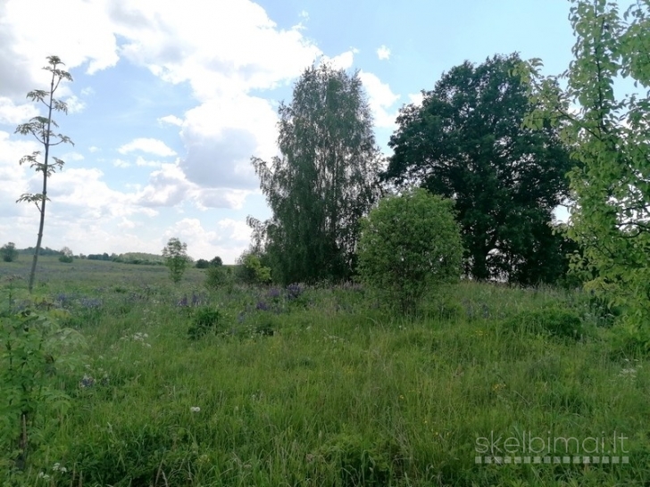 Sklypas tarp dviejų ežerų, Vilniaus raj., Sužonių sen.