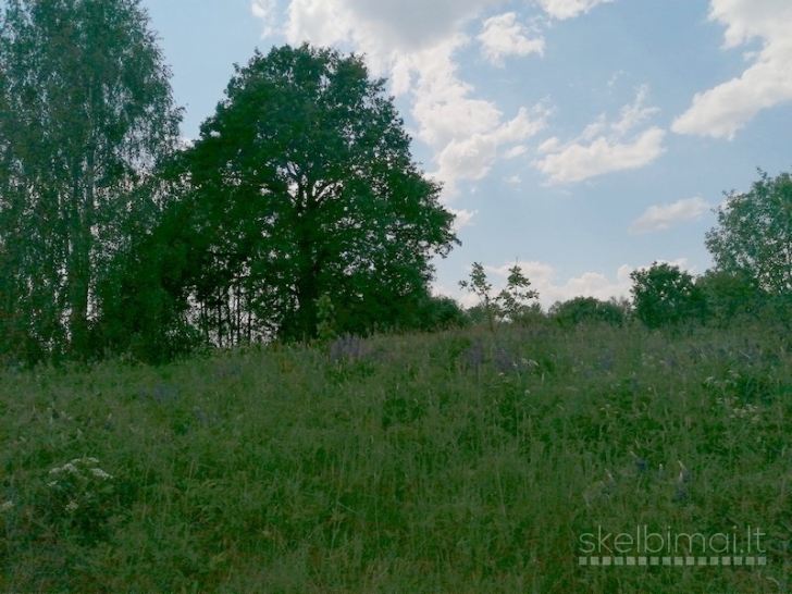 Sklypas tarp dviejų ežerų, Vilniaus raj., Sužonių sen.