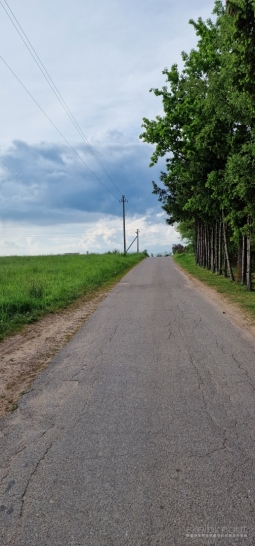 Parduodamas sodas Lapių seniūnijoje Tauralaukio kaime