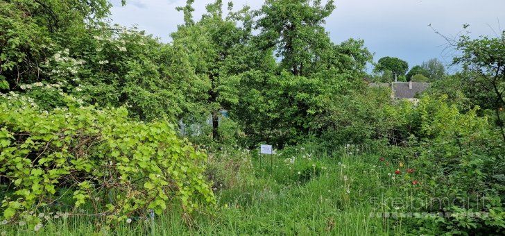 Parduodamas sodas Lapių seniūnijoje Tauralaukio kaime