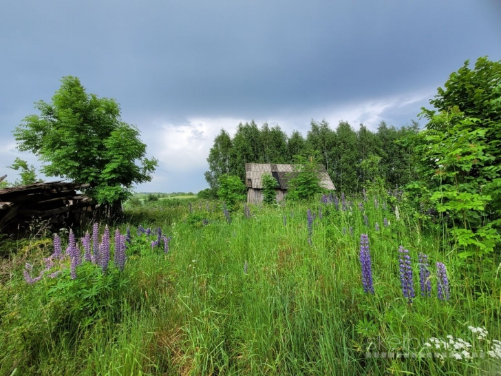 Žemės sklypas be statiniu  Kaišiadorių r. sav.