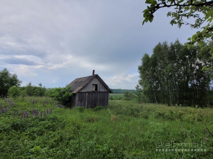 Žemės sklypas be statiniu  Kaišiadorių r. sav.